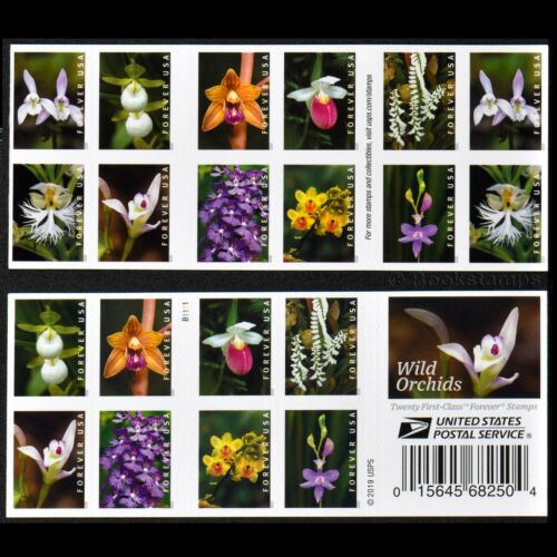 Wild Orchids First-Class Forever Postage Stamp -Total of 100 Stamps