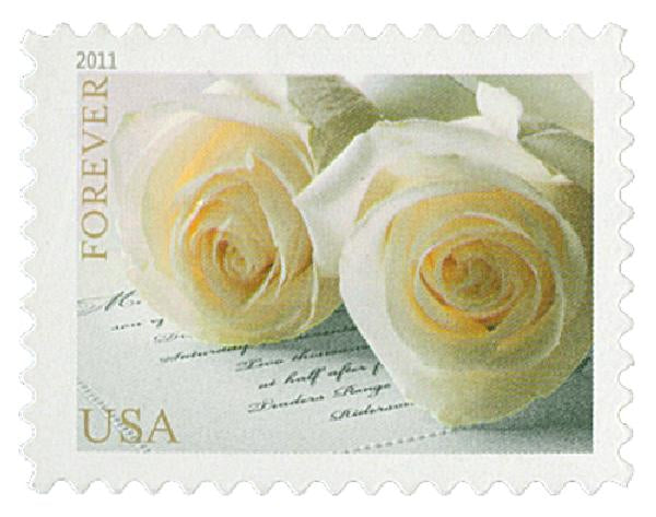 USPS White Rose Forever Postage Stamps-Total of 100 Stamps